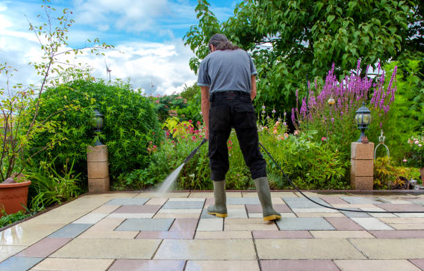 Best Residential Pressure Washing in Mallory, WV